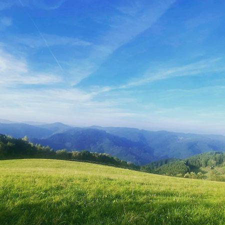 B71 - Appartement Im Herzen Des Schwarzwalds Schramberg Bagian luar foto