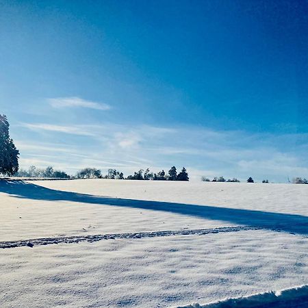 B71 - Appartement Im Herzen Des Schwarzwalds Schramberg Bagian luar foto