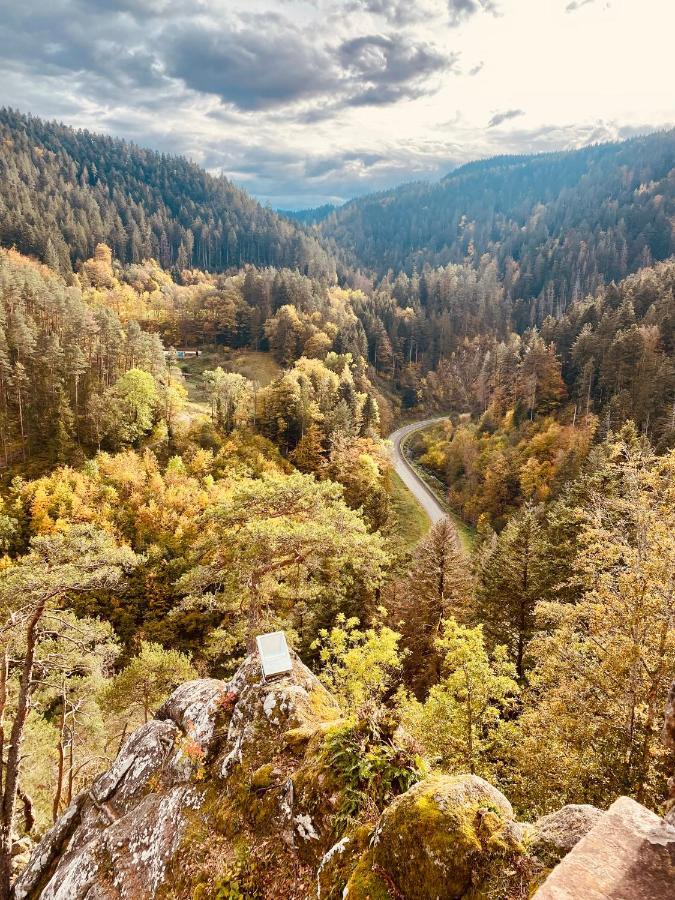 B71 - Appartement Im Herzen Des Schwarzwalds Schramberg Bagian luar foto