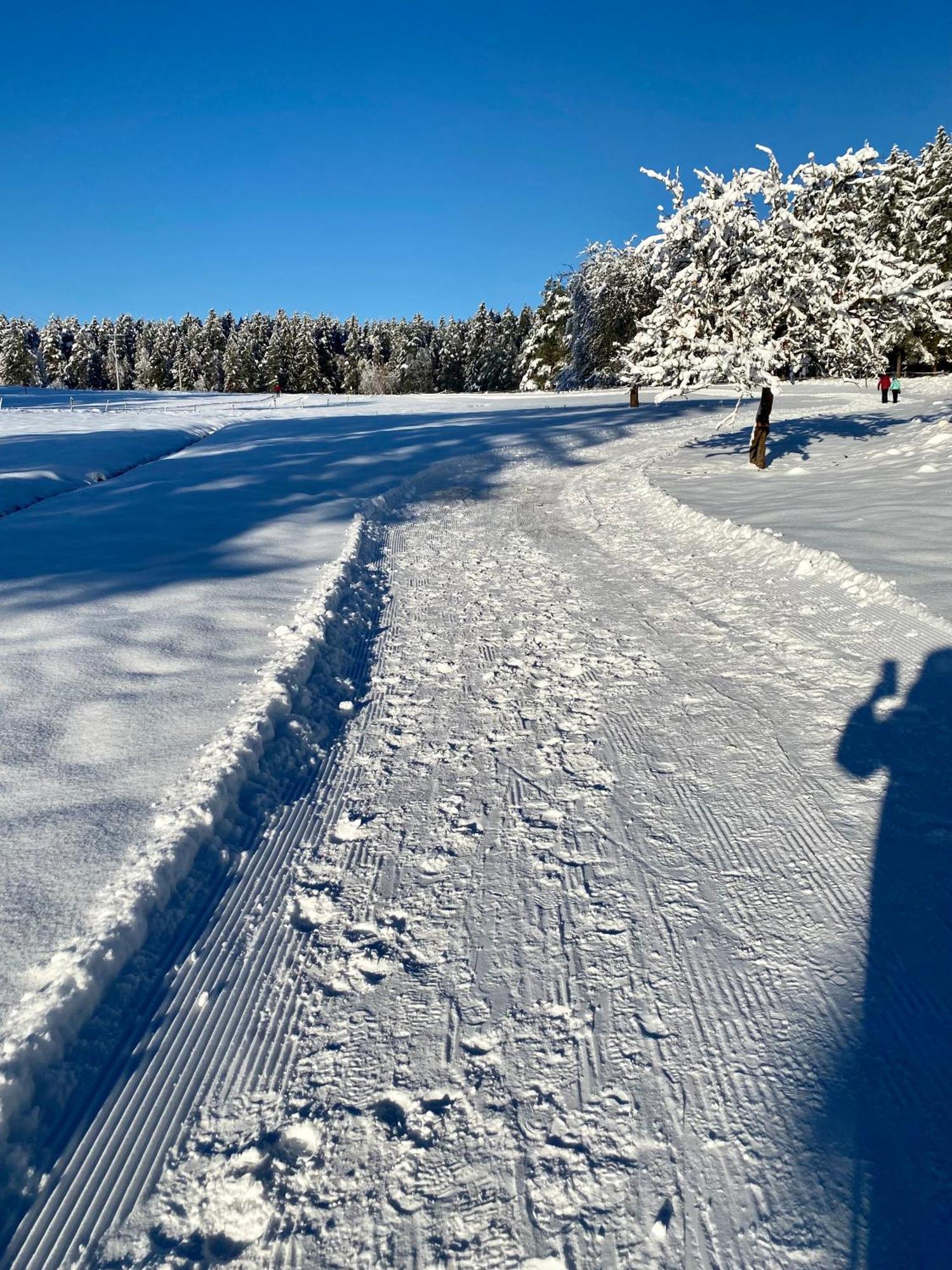 B71 - Appartement Im Herzen Des Schwarzwalds Schramberg Bagian luar foto